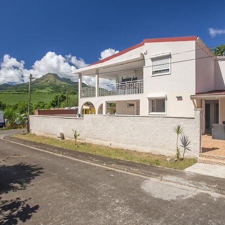 Alpinia - Appt Avec Piscine Partagee Apartment Saint-Pierre Exterior foto